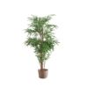 BAMBU ARTIFICIAL 180 CM ALTO.
