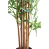BAMBU ARTIFICIAL 180 CM ALTO. - Imagen 4
