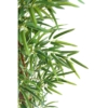 BAMBU ARTIFICIAL 180 CM ALTO. - Imagen 5