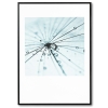 CUADRO DANDELION 1 NEGRO 50X70