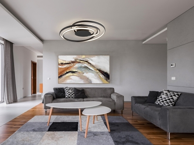 DANZA- PLAFON NEGRO - Imagen 2