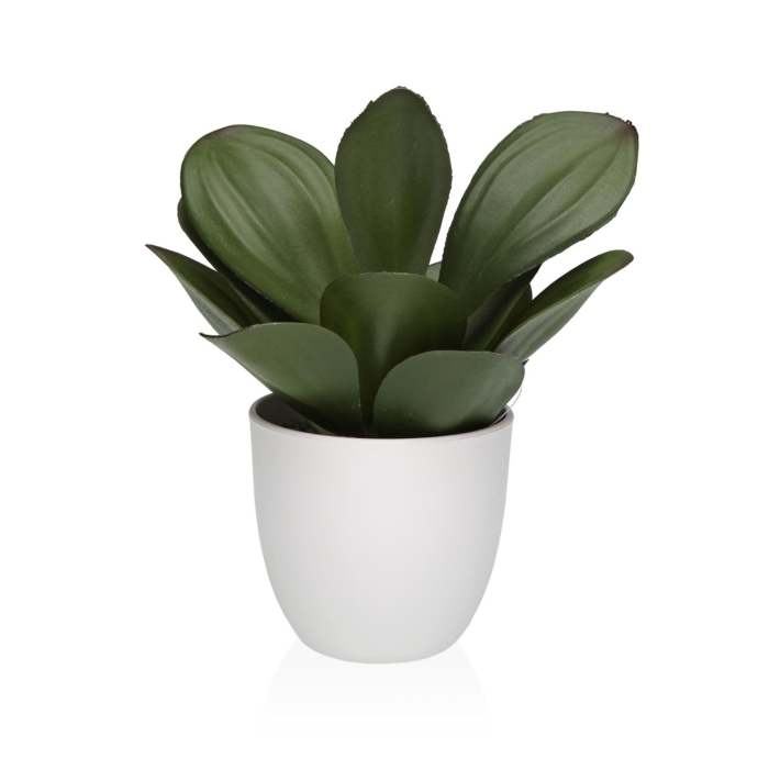 MACETA DECORATIVA CON PLANTA 23 CM
