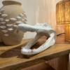 Figura Cerámica Cabeza de Cocodrilo Blanco - Imagen 6