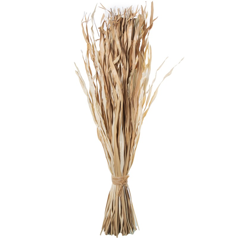 26630 Ramo Hojas Palma Natural 100Cm - Imagen 1