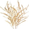 Pareja Rama Hojas Hierba Natural 148Cm