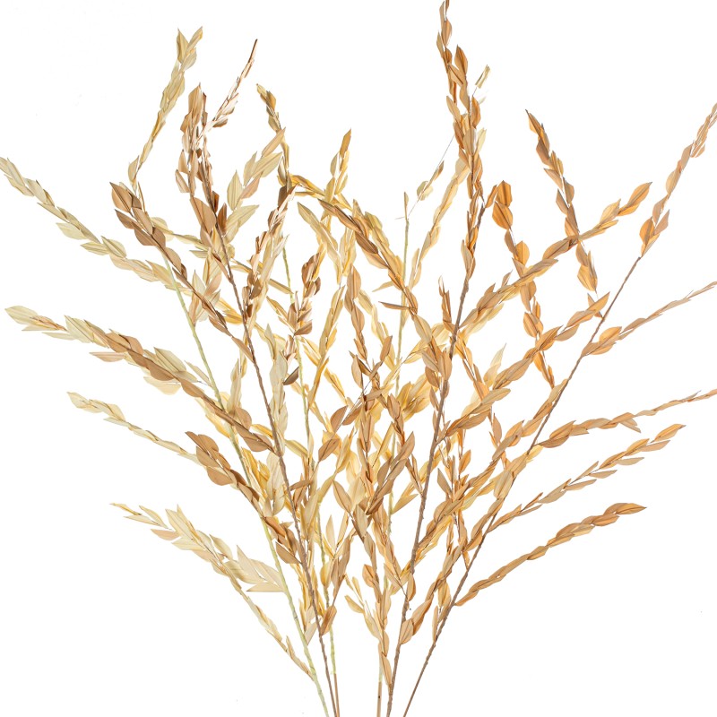 26634 Pareja Rama Hojas Hierba Natural 148Cm - Imagen 1