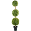 Planta Artificial Arbol del Dinero-3 Bolas 165Cm 165Cm Alt. Maceta:
