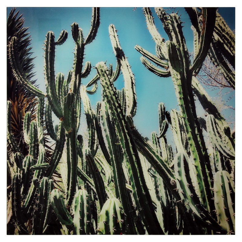 34970 Cuadro Retablo Cristal Cactus-Cristal Templado 4Mm y 4Cm - Imagen 1
