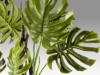 MONSTERA- PLANTA ARTIFICIAL - Imagen 4