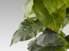 TARO- PLANTA ARTIFICIAL - Imagen 4