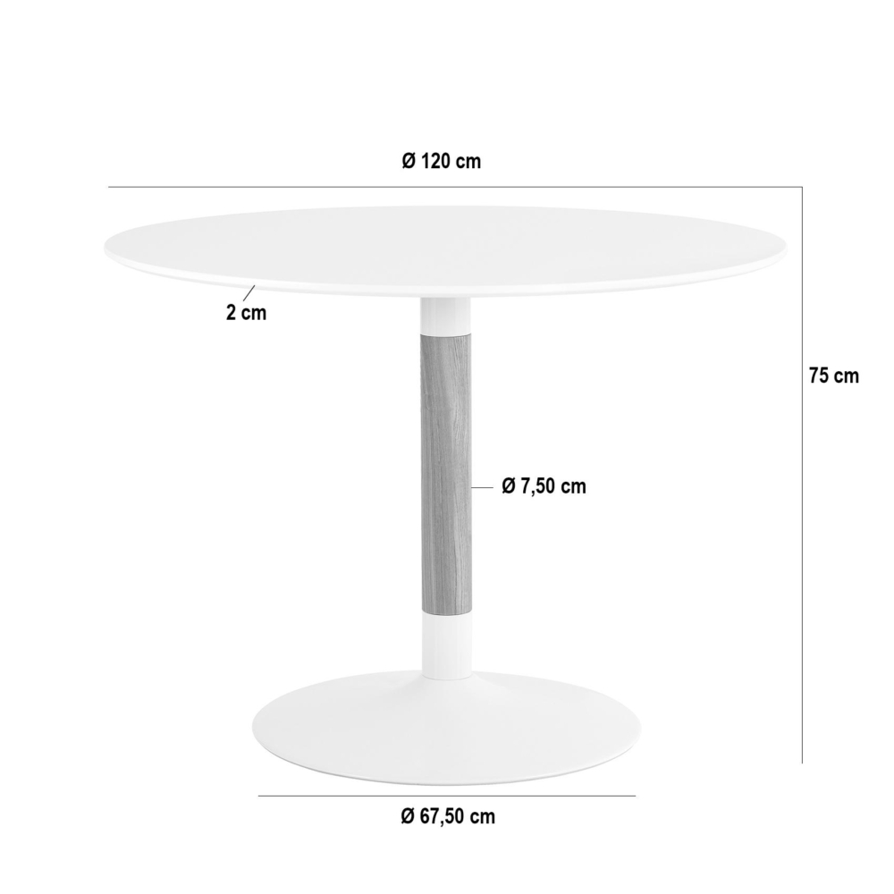 MESA FIJA MIRA 120 BLANCO/ROBLE - Imagen 4