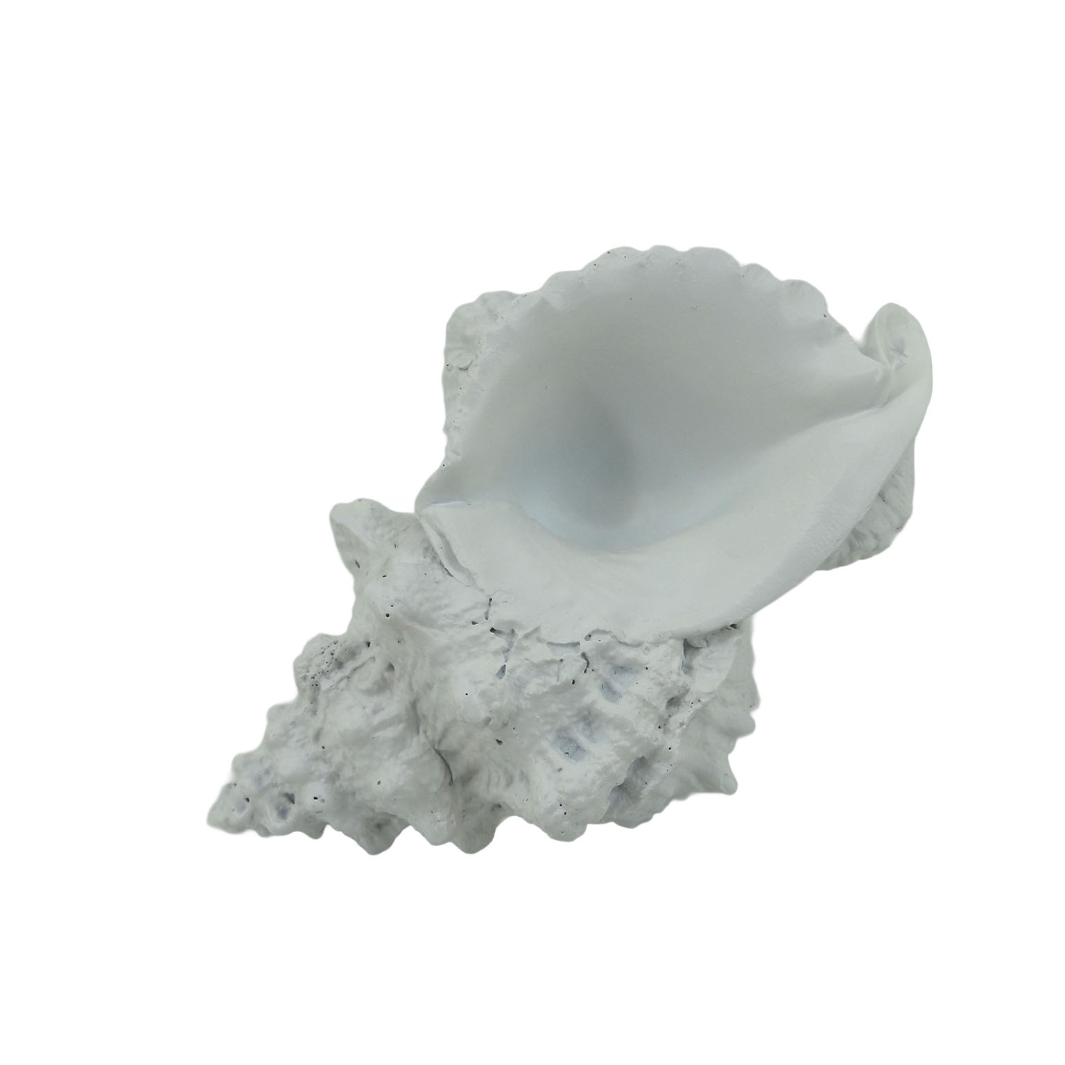 22470066 CARACOLA DE MAR M - Imagen 1