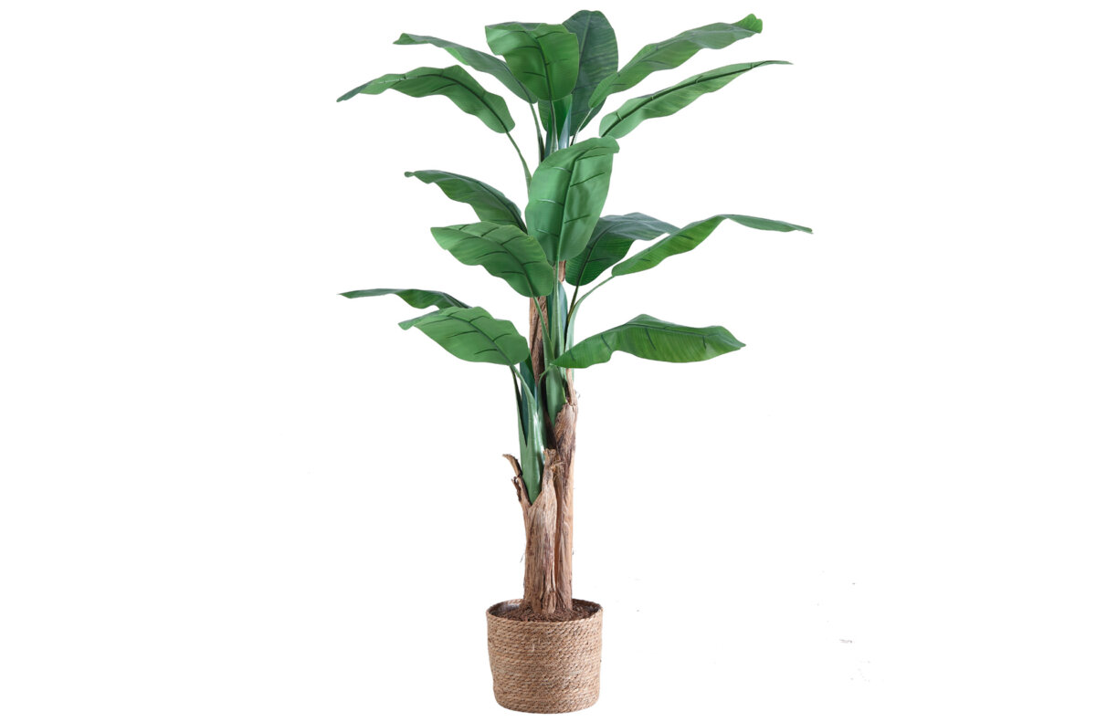 adec_c829af7711d1a29c9ef55d8d9e3dc6b5 BANANERO ARTIFICIAL 180 CM ALTO. - Imagen 1